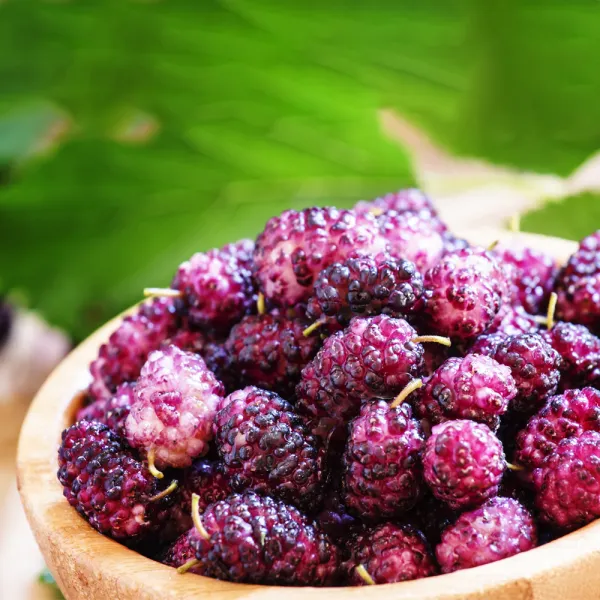 Top 6 Purple Foods You Should Be Eating